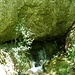 Wasser quillt unter dem Fels hervor