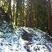 Erster Schnee begrüsst uns kurz vor dem Schafberg