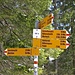 Hier steigen wir ab