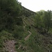 il percorso che sale al monte San Bernardo 