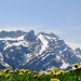 Der Säntis - der höchste Berg im Alpstein.