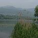 Bollettone visto dalle rive meridionali del lago di Alserio