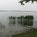 Lago di Pusiano dal centro del paese omonimo