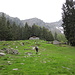 Alpe Cisterna
