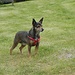  Suni  