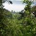 Ausblick von der Burghalde