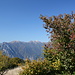 beim Abstieg Blick zu unserem gestrigen Gipfelziel: <a href="http://www.hikr.org/tour/post9006.html"><strong>Monte Cadria</strong></a>