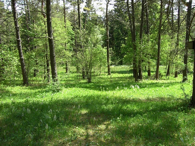 schönes Naturschutzgebiet Fotos