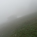 Feld-Alp im Vormittags-Nebel