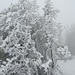 winterliche Stimmung im Mai