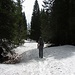 Forstweg Richtung Rasishütte: noch geschlossene Schneedecke