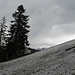 Schnee im Abstieg zum Holzegg: Zum Rodeln reichts noch