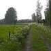 Hier loopt het pad
