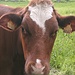 Hallo n°9183!