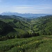 Aufstieg zum Habrütispitz - Blick ins Goldingertal