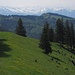 Schnebelhorn - Blick in die Schwyzer Voralpen