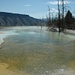ein weiteres Naturerbe im Yellowstone