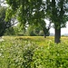Dit beeld is genomen op weg naar Leeuwergem, terwijl ik aan het fietsen was