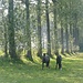 Op weg naar Sint-Lievens-Houtem