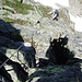 Aufstieg im Klettersteig