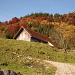 Kleine Hütte in herbstlicher Landschaft - auf dem Weg zu Holzegg