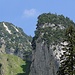 Zwei legföhrige Alpsteingipfel: Bogartenfirst (links) und Föhrenkante.