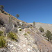Unterwegs vom Dog Canyon Trailhead zum Lost Peak (Tejas Trail).