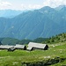 L'Alpe Variola