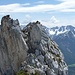 Kopf des Südpfeilers vom Gipfel