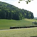 Rückblick zum Greifenberg, im Vordergrund die Bahn des Dampfbahnvereins Zürcher Oberland. Die Dampfbahn fährt an gewissen Tagen auf der Strecke Bauma - Hinwil