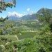 Ausblick zum Dorf Tirol