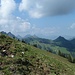 im Aufstieg zum Grat