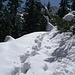 Alles Neuschnee der letzten Nacht.