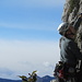 Sasso del Gatto Est