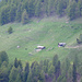 Ponchet im Zoom