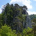 Auf der Arête des Sommêtres.