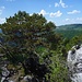 Auf der Arête des Sommêtres.