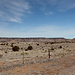 Nordöstlich von Kenton - Ausblick während eines Zwischenstopps auf dem letzten Teilstück der Anfahrt. Im Hintergrund sind die südlichen Hänge des östlichen Teils des Black Mesa zu sehen.