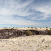 Unterwegs zum höchsten Punkt von Oklahoma/Black Mesa - Ausblick über die Oberfläche und auf ein Stück des nördlichen Randes des Tafelbergs. Gut zu erkennen ist das dunkle vulkanische Gestein, dass die Oberfläche des Tafelberges bedeckt.