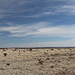 Unterwegs zum höchsten Punkt von Oklahoma/Black Mesa - Ausblick über die Oberfläche des Tafelbergs.  