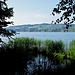 Le Küssnachter See... à moins que ce ne soit le lac de Morat ?