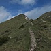 Der schottrige Weg vom Grat über die "Gruben" zum Geißsprungkopf, dem vorgelagerten Gipfel des Kienjochs.