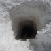 Les marmottes creusent pour atteindre la surface de la neige .