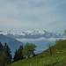 Blick vom Alpwegkopf zur Alviergruppe