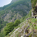 Nel Vallone di Valghera il sentiero è caratterizzato dai famosi paravalanghe