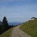 Weg zur Unteren Balderschwanger Alpe - im Hintergrund das Säntis-Massiv