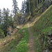 der Bergweg (Höhenweg) vom Stanserhorn zum Blatti