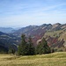 das Lecknerbach-Tal zieht zum Bregenzer Wald vor der westlichen Nagelfluhkette