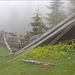 bei der verfallenen Plattenalm, noch tief in Wolken