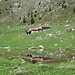 riflesso